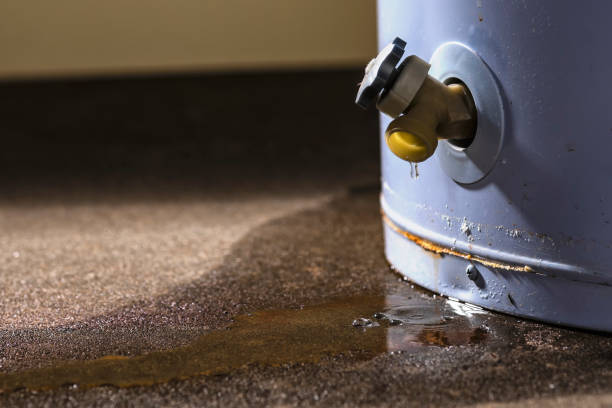 Best Residential water damage restoration  in Wickerham Manor Fisher, PA