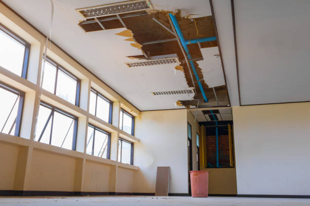 Best Water damage cleanup near me  in Wickerham Manor Fisher, PA