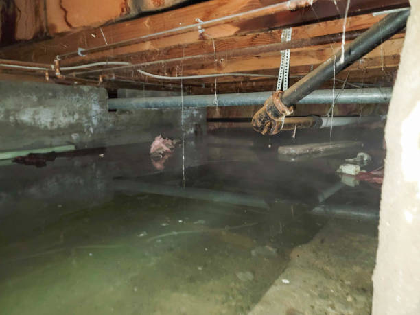 Reliable Wickerham Manor Fisher, PA Water damage restoration Solutions
