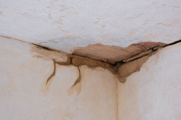 Best Water damage restoration near me  in Wickerham Manor Fisher, PA