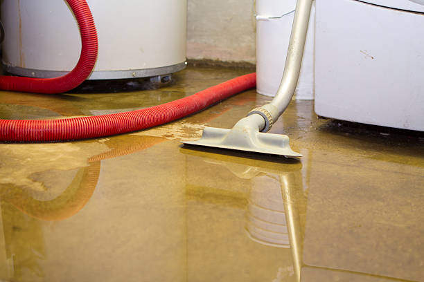 Best Residential water damage restoration  in Wickerham Manor Fisher, PA