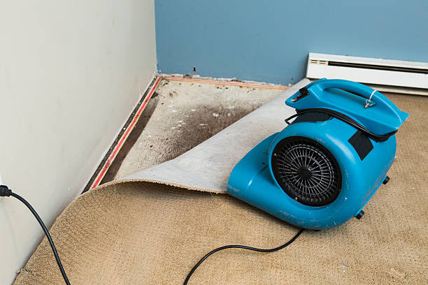 Best Basement water damage restoration  in Wickerham Manor Fisher, PA